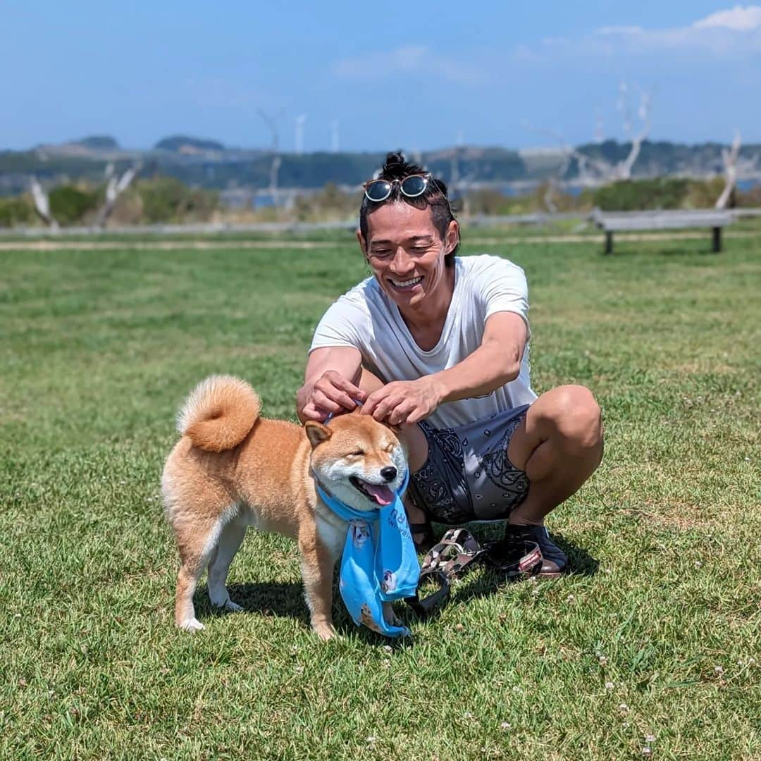 久保裕丈さんのインスタグラム写真 - (久保裕丈Instagram)「夏は犬の色んな表情が見られるから好き。 はむは暑くて大変そうだけど、今年の夏も楽しもうね🦮 #柴犬 #柴犬のいる暮らし #柴犬部 #shibainu #shibadog　#豆柴 #mameshiba #mameshibapuppy #puppy #summer #夏　#海　#海と柴犬 #夏大好き」8月3日 8時49分 - hirotakekubo