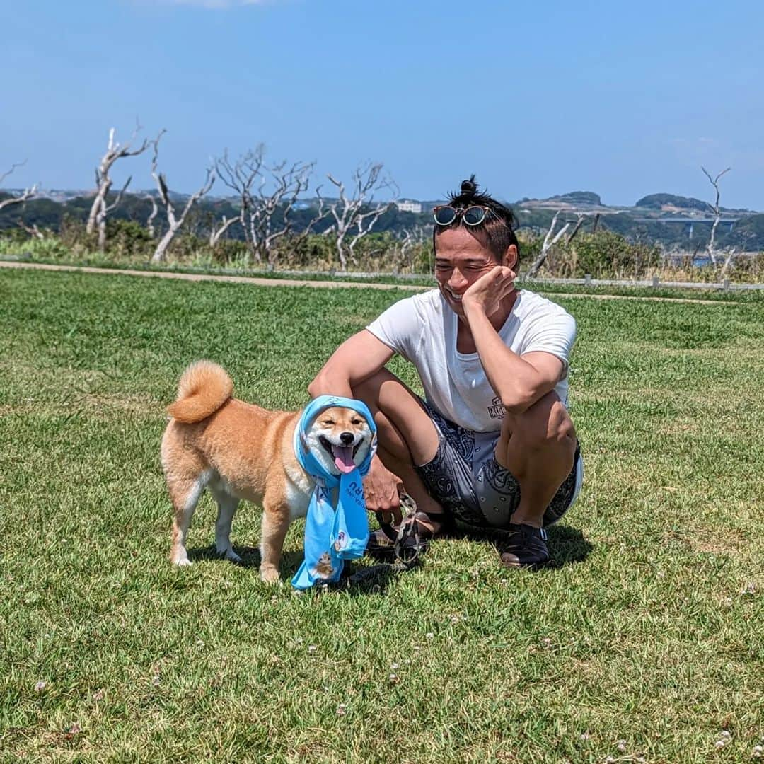 久保裕丈さんのインスタグラム写真 - (久保裕丈Instagram)「夏は犬の色んな表情が見られるから好き。 はむは暑くて大変そうだけど、今年の夏も楽しもうね🦮 #柴犬 #柴犬のいる暮らし #柴犬部 #shibainu #shibadog　#豆柴 #mameshiba #mameshibapuppy #puppy #summer #夏　#海　#海と柴犬 #夏大好き」8月3日 8時49分 - hirotakekubo