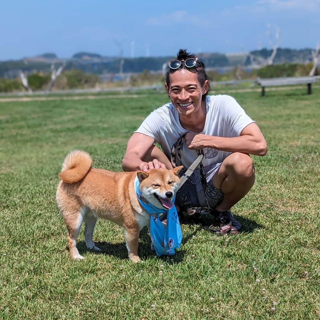 久保裕丈のインスタグラム：「夏は犬の色んな表情が見られるから好き。 はむは暑くて大変そうだけど、今年の夏も楽しもうね🦮 #柴犬 #柴犬のいる暮らし #柴犬部 #shibainu #shibadog　#豆柴 #mameshiba #mameshibapuppy #puppy #summer #夏　#海　#海と柴犬 #夏大好き」