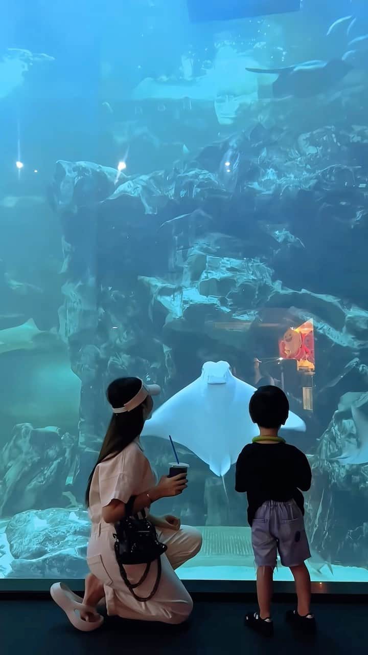 チョ・ミニョンのインスタグラム