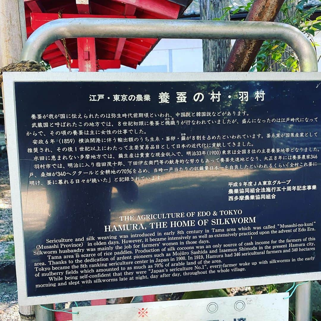 橋本塁さんのインスタグラム写真 - (橋本塁Instagram)「東京都羽村市おはようございます！ 朝ラン6km終了！ 今日も晴天で走りやすかったです！ 心身ともに健康で。 今日はこれから近隣でとあるバンドの撮影！ #stingrun #朝ラン  #adidas #adidasultraboost  #run #running #ランニング　#心身ともに健康に #ジョギング #東京　#羽村 #羽村市  #阿蘇神社」8月3日 9時15分 - ruihashimoto