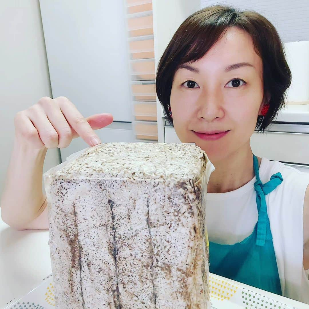 島本美由紀さんのインスタグラム写真 - (島本美由紀Instagram)「・ おはようございます。 友達からキクラゲの菌床を もらったのでチャレンジ！ 育てるの苦手なんですが😆 今月は海外に飛べないから、 頑張ってみますー。 ２時間おきに霧吹きだそう😵💦 うまく育つかな？  #おうちで菌床  #キクラゲ栽培  #きのこ大好き  #きのこで菌活」8月3日 9時48分 - miyuki_shimamoto