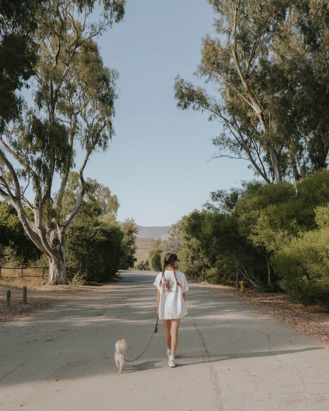 W E Y L I Eさんのインスタグラム写真 - (W E Y L I EInstagram)「Where is your happy place? Mine is 🌿⛰️🌼🏕️ Here are some cozy mems from the weekend.  We escaped the LA heat for warm & breezy San Luis Obispo. After driving such long distances to Canada, I feel unstoppable! Now a 4 hour drive surprisingly feels easy. Who am I?! (coming from a girl who just sleeps while her manz drives 😴)  I used to avoid summer camping, but staying coastal during the summer months is quite nice. Surprisingly, I did not get a single mosquito bite this time. Just lots of ants in my tent, but it's cool 🫠   #camping #outdoors」8月3日 10時01分 - weylie