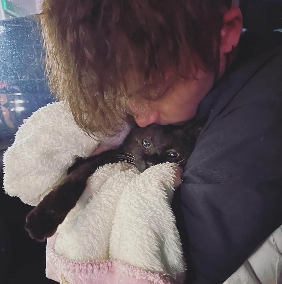 のインスタグラム：「お久しぶりの投稿です。 父さん( @snare_saitou )の投稿ではお伝えしていましたが 長らく闘病していた保護猫ドーナッツ、ボス、トーストちゃん、すりすり、保護犬のすだこちゃんを4月から立て続けに看取りました。  里親に出せない看取り覚悟の子たちばかりですが、やはり覚悟なんかは簡単にできず、心が追いつかない状態だったので、投稿はおやすみしていました。  おやすみ中も、たくさんの方から ご心配をいただきメッセージなどいただきました。返信できずすみませんでした。  5匹のこと、一度には書けないので少しずつ投稿します🙏」