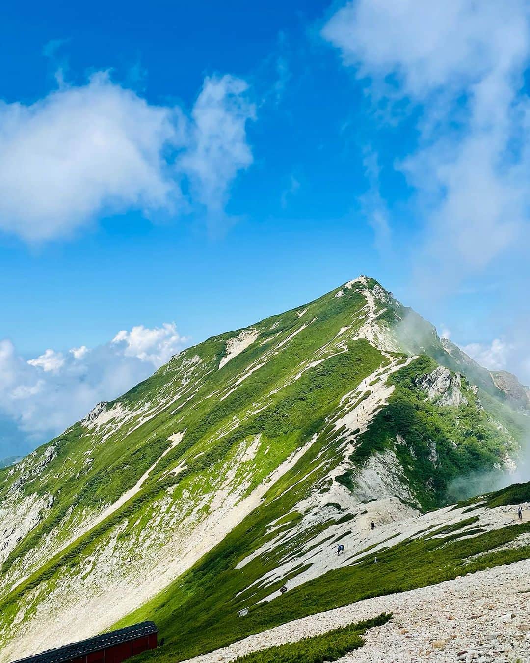 渡部善斗さんのインスタグラム写真 - (渡部善斗Instagram)「"右ひじ左ひじ　交互に見て"  っていうリズムで登ってたら  なんか予定より早く登頂  でも下りは同じようにやったら  いつもより時間がかかった  どういう原理なのだろうか。  #登山  #白馬  #山スタグラム  #hakuba  #mountain  #mountainhardwear  #マウンテンハードウェア  #columbiamontrail  #コロンビアモントレイル  #zerofit」8月3日 21時23分 - wtbyst