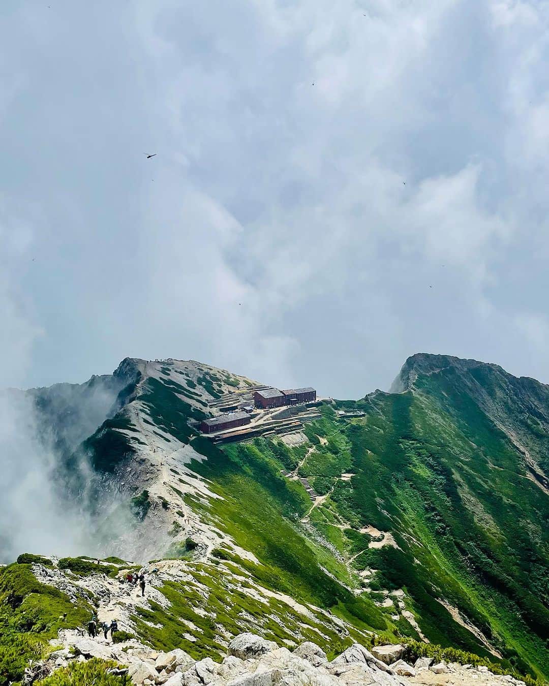 渡部善斗さんのインスタグラム写真 - (渡部善斗Instagram)「"右ひじ左ひじ　交互に見て"  っていうリズムで登ってたら  なんか予定より早く登頂  でも下りは同じようにやったら  いつもより時間がかかった  どういう原理なのだろうか。  #登山  #白馬  #山スタグラム  #hakuba  #mountain  #mountainhardwear  #マウンテンハードウェア  #columbiamontrail  #コロンビアモントレイル  #zerofit」8月3日 21時23分 - wtbyst