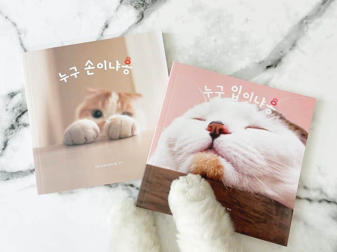 hanachan.officialのインスタグラム：「⠀  パイインターナショナル @pie_international 様より、以前発売した『もっと ねこのおてて』『ねこのおくち』が韓国語版として出版されることになりました🇰🇷  日本版と同様、はなちゃんも少しだけ掲載されています🐱✨  韓国にも猫好きさんって沢山いるのかな？ はなちゃんの可愛さ、韓国にも届けーーー🫶💕  #はなちゃん #チンチラシルバー #チンチラ #ペルシャ #猫 #可愛い #にゃんすたぐらむ #本 #amazon #手 #hand #cat #chinchillacat #persiancat #fluffy #kawaii #chat #kitty #gato #cute #book #ふわもこ部 #ねこのおてて #ねこのおくち #パイインターナショナル #고양이 #귀여운 #韓国 #🇰🇷 #🫰」