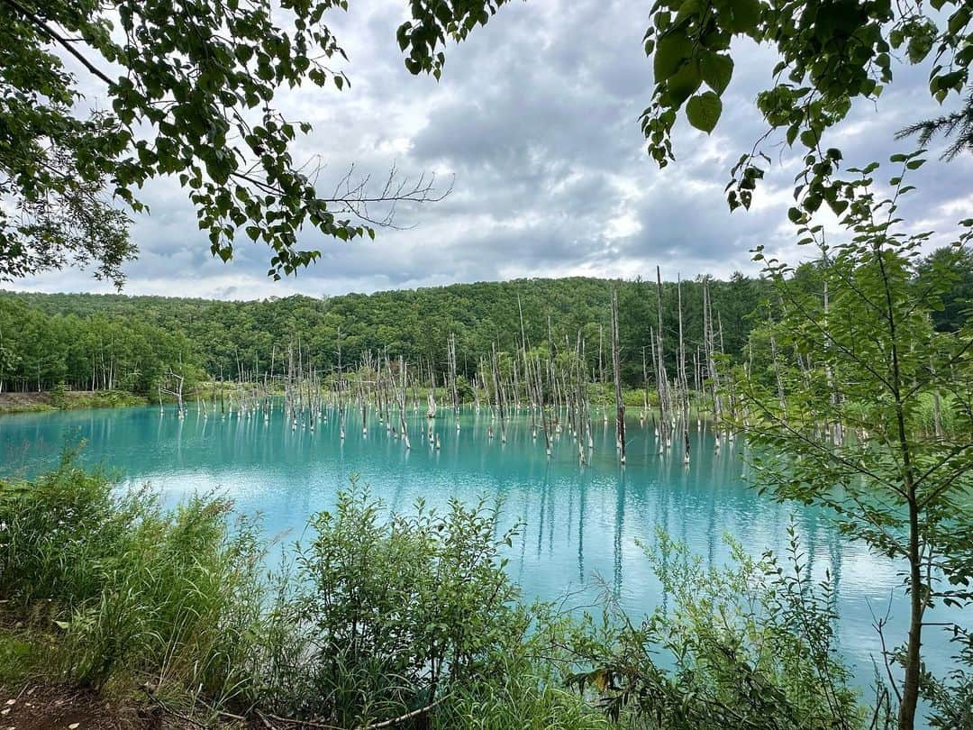 石川翔鈴さんのインスタグラム写真 - (石川翔鈴Instagram)「. 青い池 、白ひげの滝 🦢💦  青い池が青い理由を調べてみて「へ〜」と思ったけど やっぱり不思議。  写真集撮影ぶりの美瑛でした🌻  #Hokkaido #美瑛 #bieihokkaido」8月3日 21時52分 - karen__i328