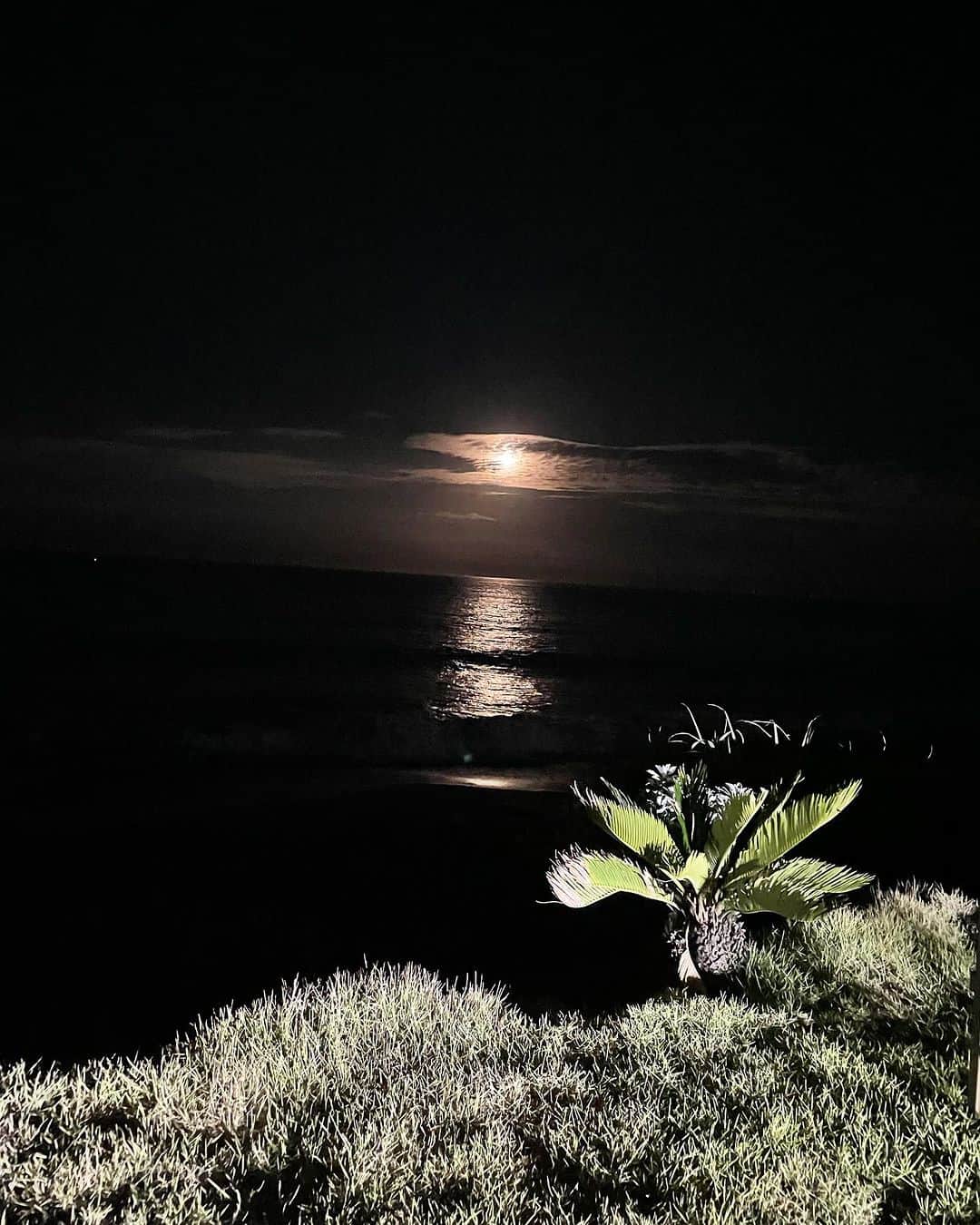 飯島直子さんのインスタグラム写真 - (飯島直子Instagram)「こんばんは^ - ^♪  暑い一日でした  ひまわり、かわいいですね  どこにいても食欲はかわらず  今日もたくさんたべました^_^  海にも入らず、プールにも入らず ただただ海をみて、月をみて ごはんたべてました^ - ^  贅沢な時間でした  今夜もみんなに月を見せたく  動画撮りました^_^  月のパワーみんなに届きますように  今日も一日お疲れさまでした  おやすみなさい( ´ ▽ ` )ﾉ♡  また明日♡♡」8月3日 21時45分 - naoko_iijima_705_official