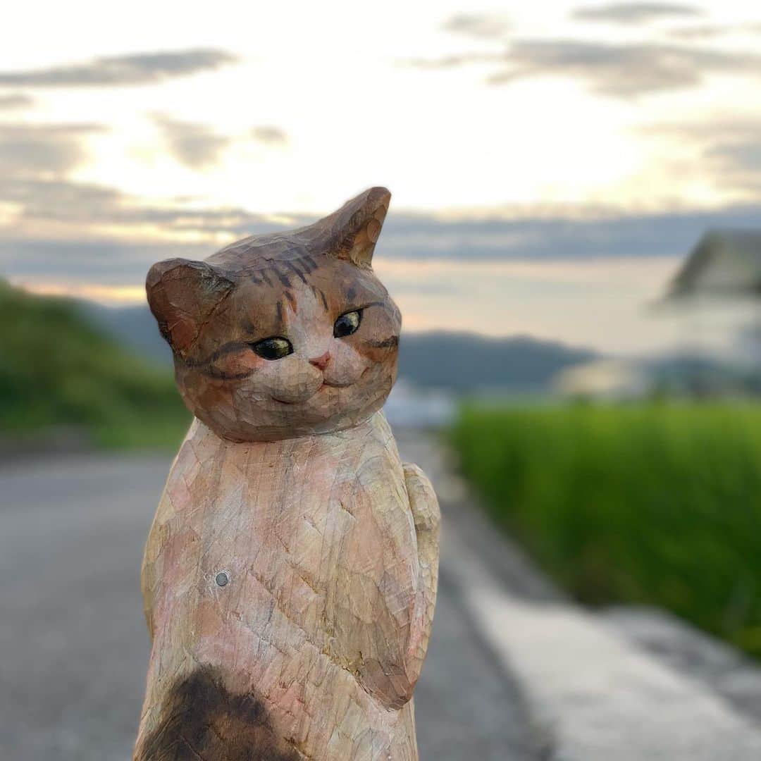 花房さくらさんのインスタグラム写真 - (花房さくらInstagram)「まだ8月だけど、夏休みが1日ずつ減っていくの寂しいね･･･  学生のみんな、毎日を噛み締めて過ごそう！  #夕焼け #sunset  #cat #sculpture #hanafusasakura」8月3日 21時46分 - sakura_hanafusa