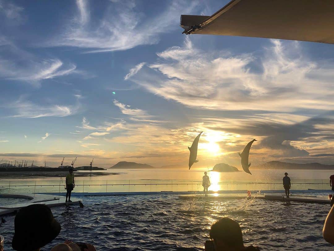 中野美奈子さんのインスタグラム写真 - (中野美奈子Instagram)「夏休み期間限定“四国水族館のナイトスケープ”に行ってきました。  夕方6時30分からのイルカショーは瀬戸内海に沈む夕陽をバックに息を呑む美しさ。  まるで絵画のような風景にこどもたちも感激……と思ったら、友達と走り回っていた😂  心洗われたひとときでした。  宿題できてなくていいじゃない。 人と比べなくていいじゃない。 アサガオ枯れてしまっても仕方ないじゃない。  よし！明日からがんばろ！！  香川に来られた方、8月末までの特別な時間をぜひ四国水族館で♡ 日によってプログラムが違うようなのでホームページをご覧ください。  @shikoku_aquarium  #四国水族館 #ナイトスケープ #マジックアワー #イルカショー #夜の水族館 #夏休み限定  #中野美奈子」8月3日 21時51分 - minako_nakano.official