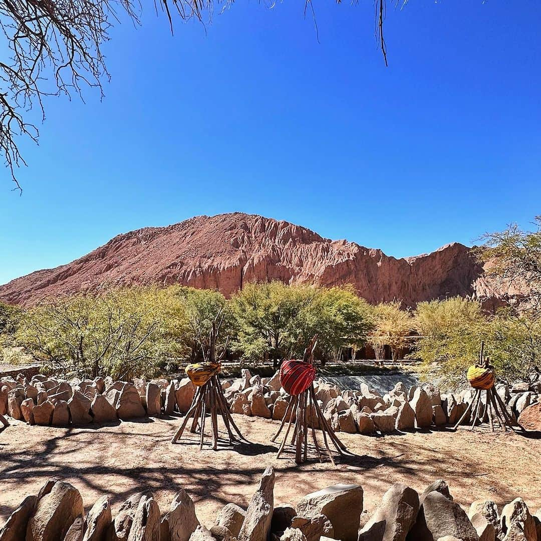 カロリーネ・セリコさんのインスタグラム写真 - (カロリーネ・セリコInstagram)「Alto Atacama 🏜」8月3日 21時54分 - cacelico