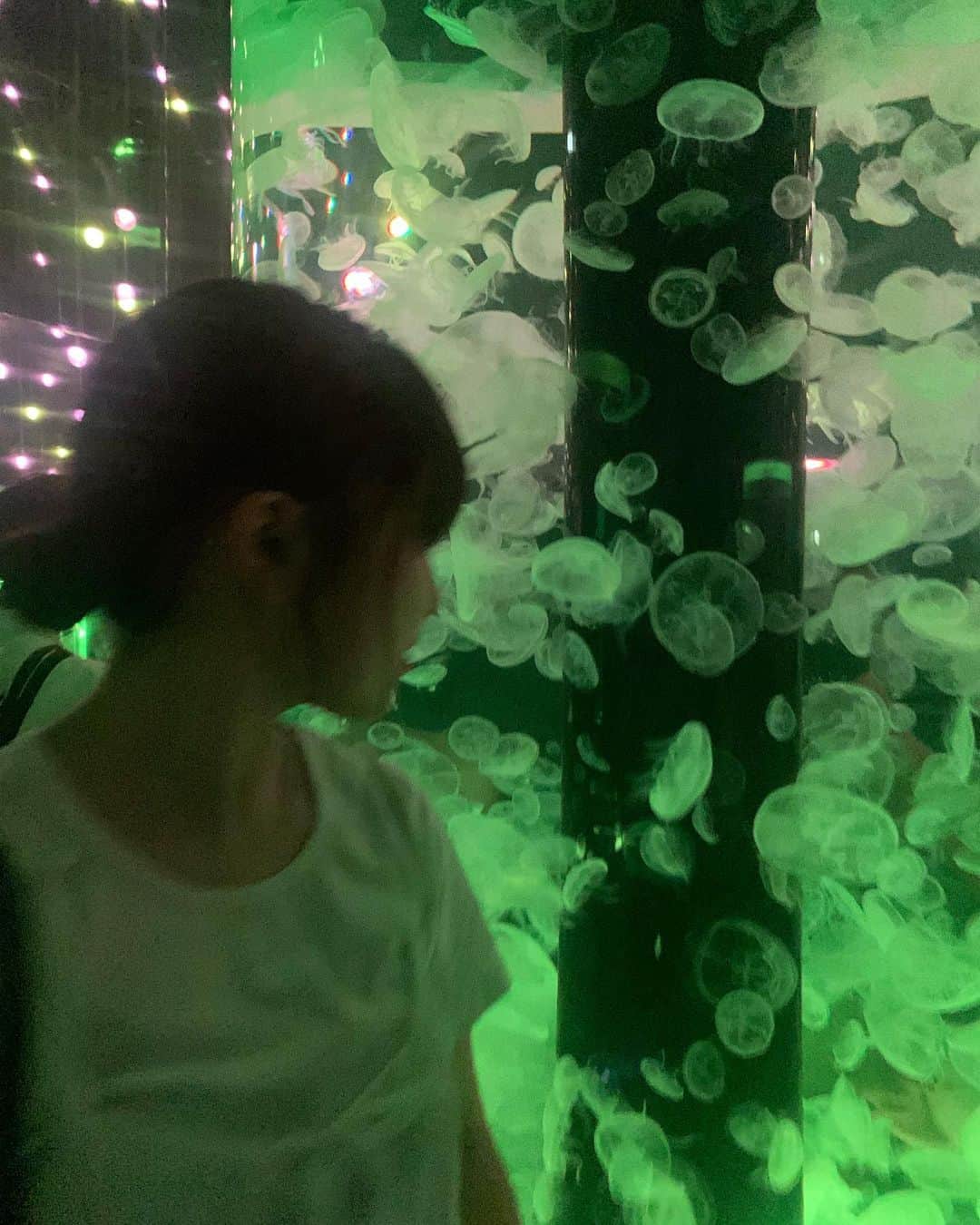 野崎奈菜のインスタグラム：「⁡ 海月好きすぎる🪼 テンション高かった写真たち載せちゃう ⁡」