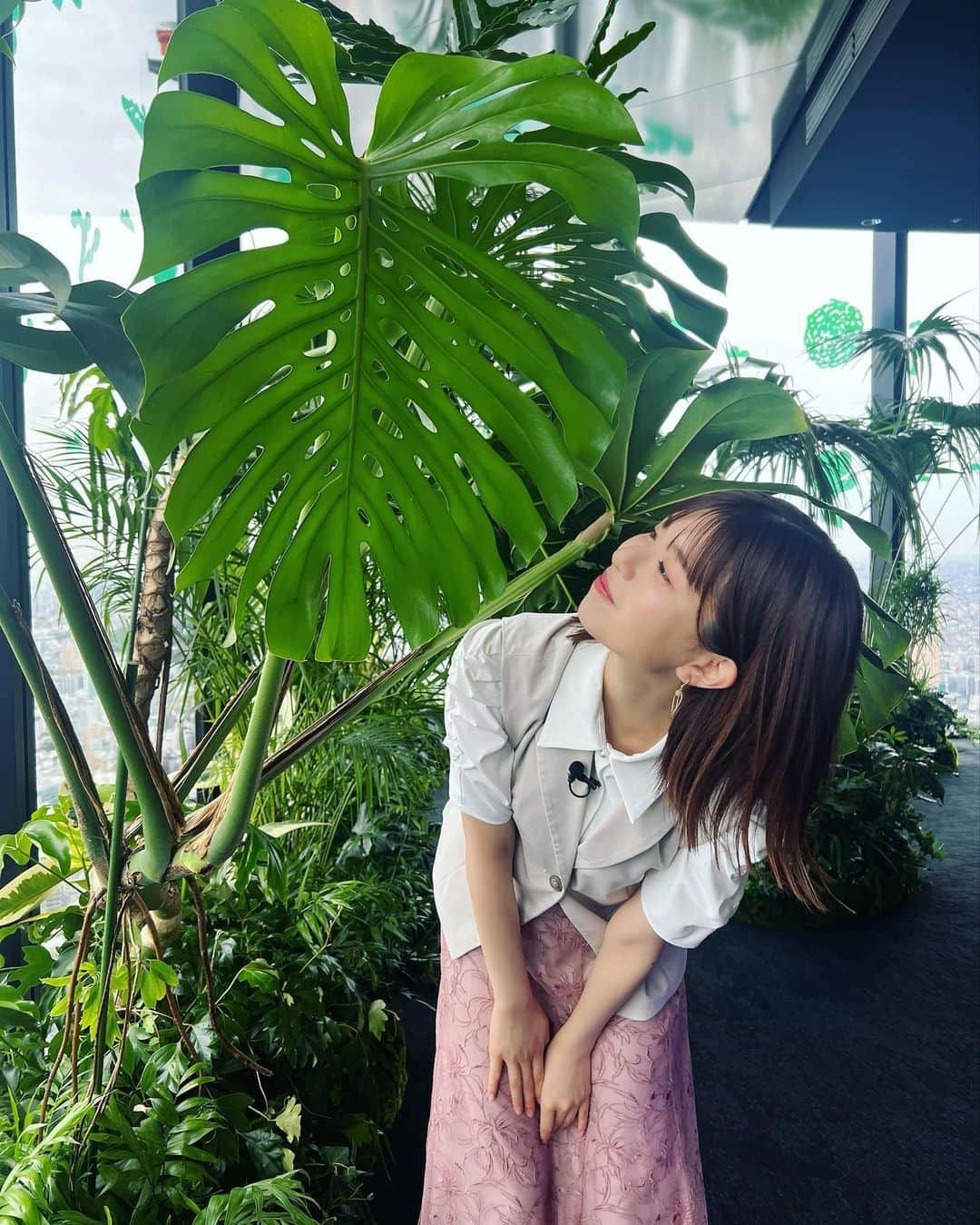 松田好花さんのインスタグラム写真 - (松田好花Instagram)「ㅤ THE TIME,ロケでSHIBUYA SKYへ🌼 我が家にもいるモンステラを見つけてテンションが上がりました♡  #yahostagram  #日向坂46 #松田好花  #SHIBUYASKY #BOTANICAL #VIEW #モンステラ  #thetime_tbs」8月3日 13時37分 - matsudakonoka.yahos