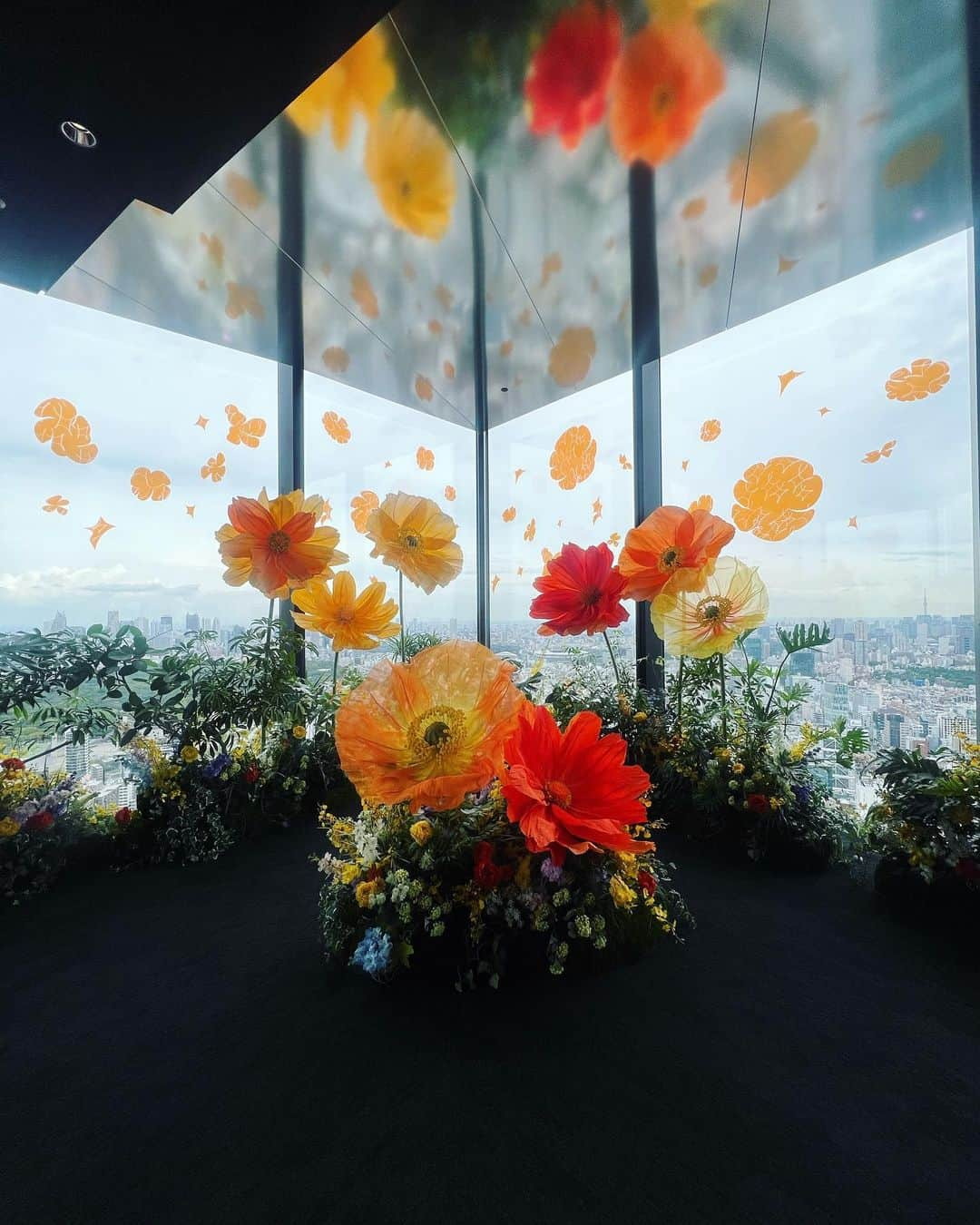 松田好花さんのインスタグラム写真 - (松田好花Instagram)「ㅤ THE TIME,ロケでSHIBUYA SKYへ🌼 我が家にもいるモンステラを見つけてテンションが上がりました♡  #yahostagram  #日向坂46 #松田好花  #SHIBUYASKY #BOTANICAL #VIEW #モンステラ  #thetime_tbs」8月3日 13時37分 - matsudakonoka.yahos