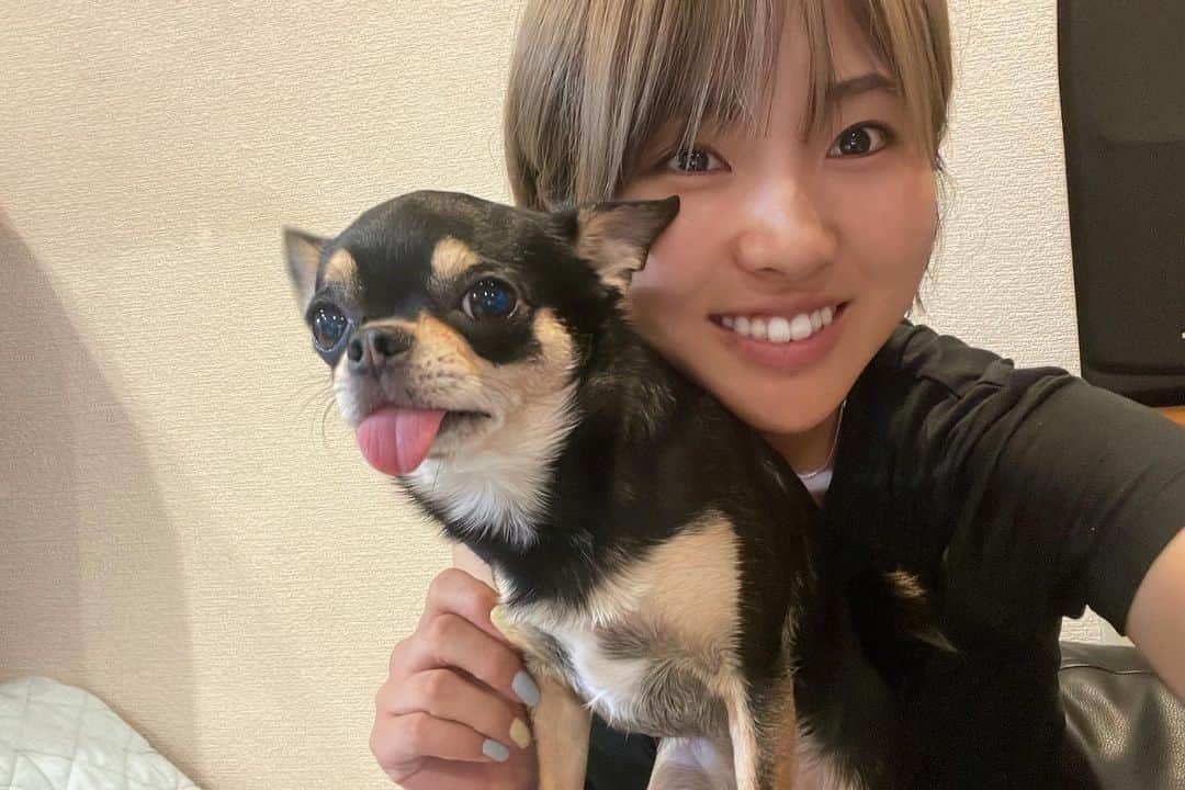 小野祐夢のインスタグラム：「. 大東建託・いい部屋ネットレディス⛳️ 楽天スーパーレディース⛳️  暑すぎた2週間でした😵‍💫 毎日熱中症との戦いで、氷嚢や冷えピタやハットなどいろいろな対策をしました。 キャディーさんのサポートがあったおかげで最後までプレーできたと思います✨  暑い中応援ありがとうございました！ 約2ヶ月ぶりに家に帰れたので🐶たちといっぱい遊んで元気もらいました😍  今週はウェイティングで北海道に来ていますが、明日からの試合出れることになりました🏌🏼‍♂️ 暑いけど先週に比べたら全然涼しい北海道でがんばります🌞  #チワワ #ベロがでちゃうのはいつも」