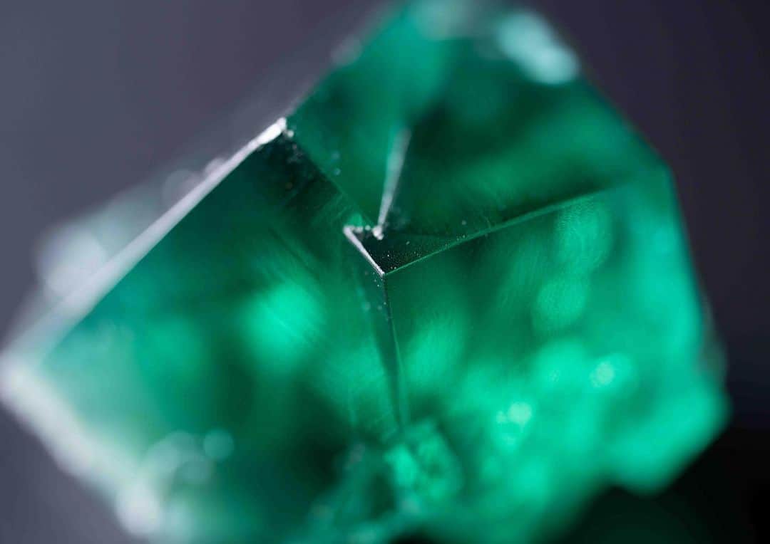 のインスタグラム：「げんかつぎ鉱物デー 同時開催 いぶくろ聖志写真展 THE  World of CRYSTAL   8月4日金曜～8月7日月曜 8月10日木曜～14日月曜 営業時間10時～16時30分 　「最終日は15時迄」 横浜産業貿易センター2階 小展示室　中区山下町2番地  #photography  #camera #crystal  #写真　#カメラ　#クリスタル　#原石」