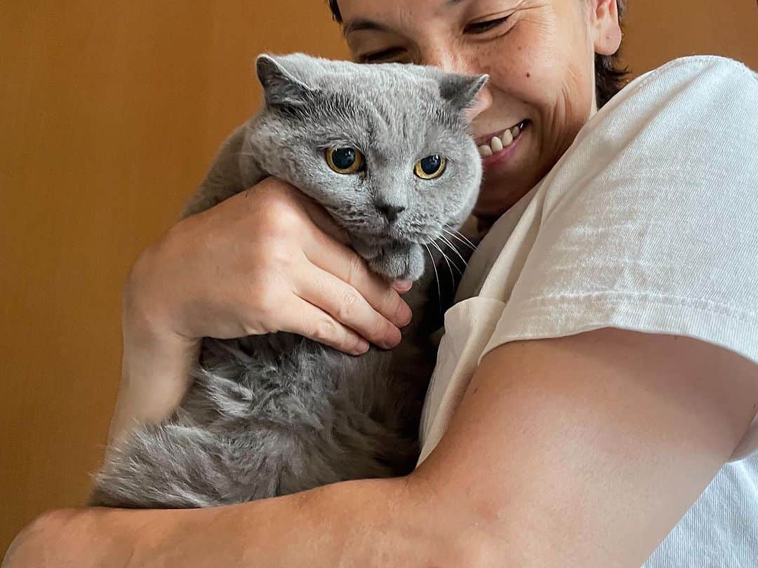 KAORUさんのインスタグラム写真 - (KAORUInstagram)「#諭吉 と私🤭  #ブリティッシュショートヘア  #猫のいる暮らし」8月3日 14時56分 - yukisaku_88