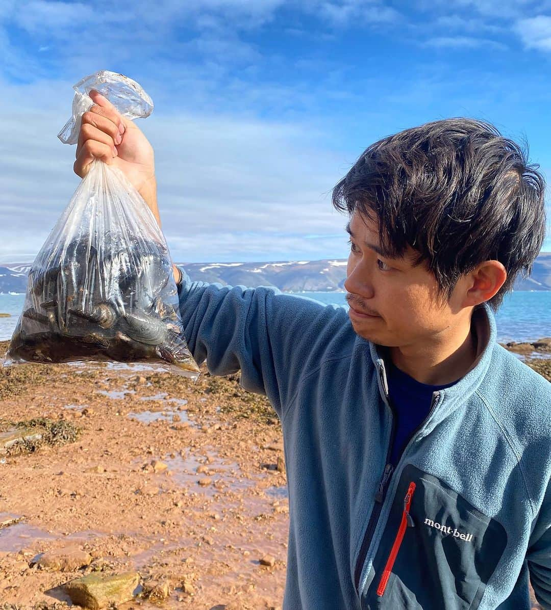 テレ朝newsのインスタグラム：「【北極ノート】 ウウィロ(ムール貝)を獲りに海岸へ！ 足の踏み場もないぐらいびっしりと繁殖しています 昔はほとんど見かけなかったのが 温暖化で海水温が上昇し近年急激に数が増えたそうです #松本と屋比久の北極滞在記 #北極ノート #テレ朝news #ムール貝 #海岸 #海 #自然 #nature #北極」