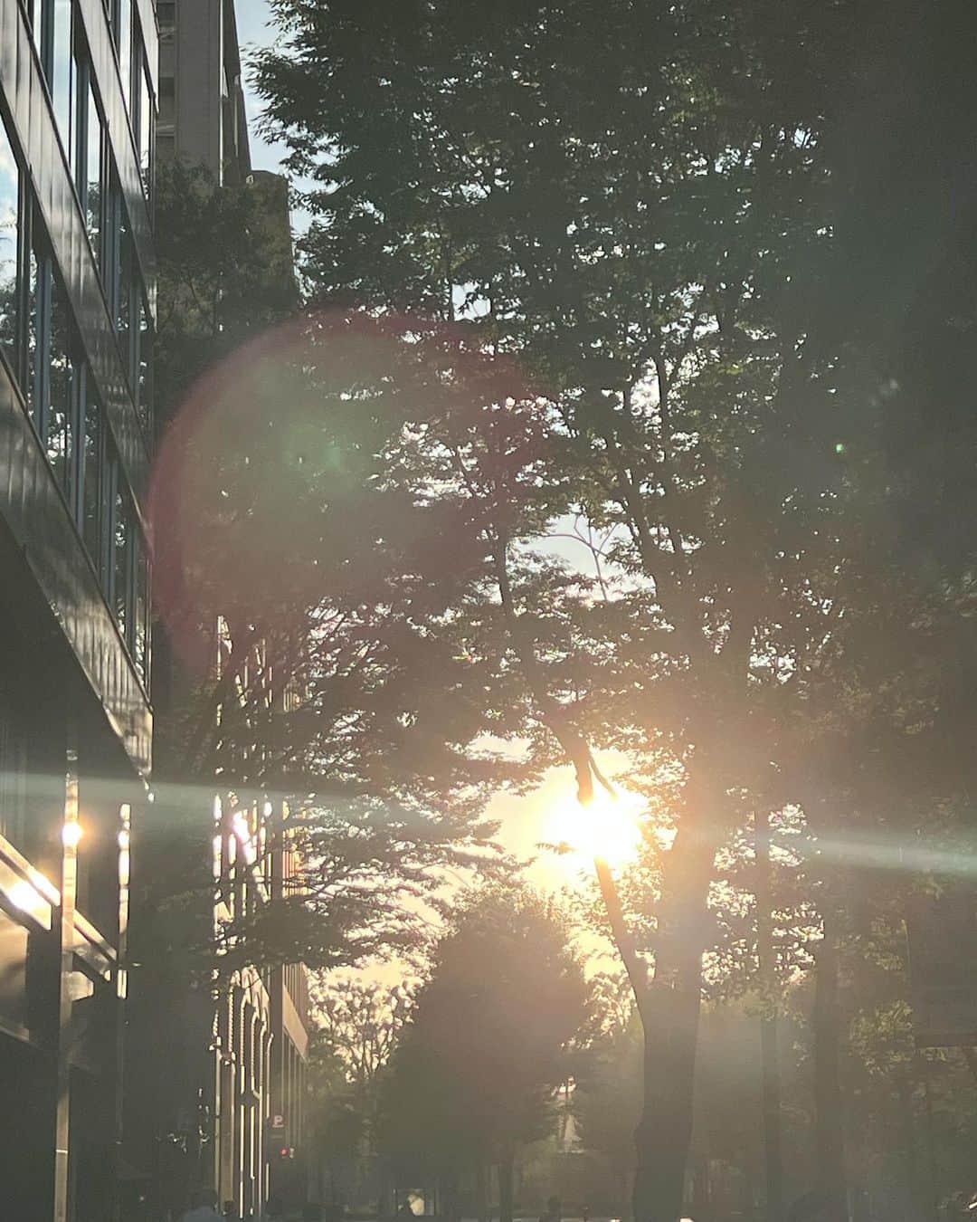 永田凜さんのインスタグラム写真 - (永田凜Instagram)「8月ですね🏖️ 夏楽しんでますかい」8月3日 16時38分 - rin_nagata_official