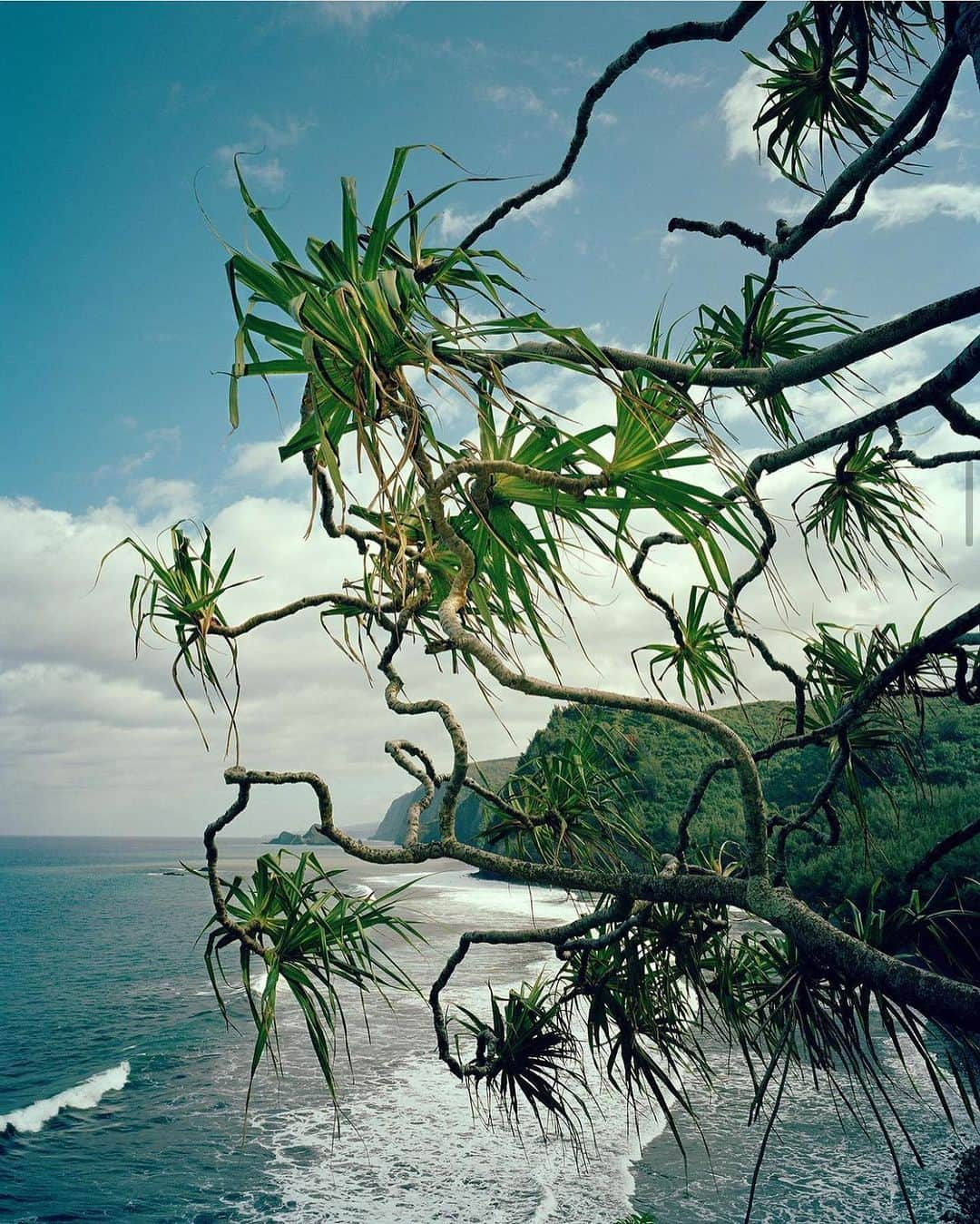 Meganのインスタグラム：「Beautiful Hawaii @brendangeorgeko  . . . . #hawaii #naturalbeauty」