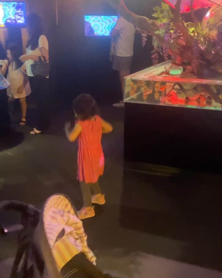 川面千晶のインスタグラム：「ダンスダンス♬ #2歳11ヶ月」