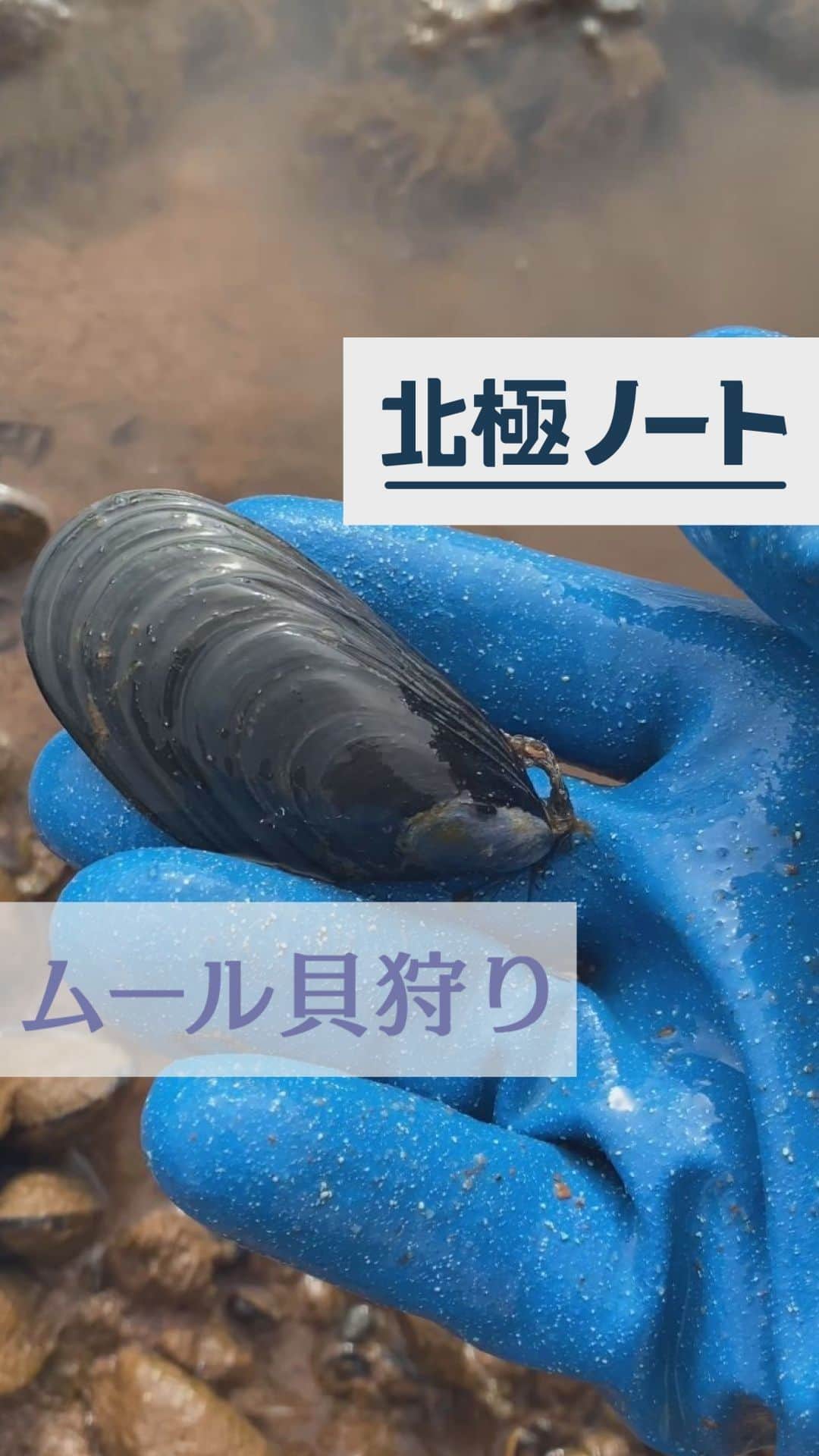 テレ朝newsのインスタグラム