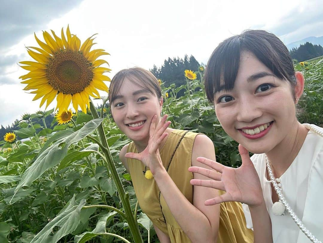 松本亜美さんのインスタグラム写真 - (松本亜美Instagram)「明日の新潟一番では新企画！ 「ときドき西松」が放送されます👀 しっかり者で可愛い西辻アナと県内各地を巡って県内のプリンを探してきました🍮 個性豊かなプリン18個ご紹介！ プリンの甘さ、硬さ、フォルムに作り手それぞれの想いが詰まっているなと感じました☺️ 皆さんのお気に入りも見つかるかもしれませんよ♪  アクティビティをして、食べて、体験して、食べて… 盛りだくさんの内容となっています✨ 詳しくは明日の新潟一番をチェック！！  #teny #テレビ新潟  #夕方ワイド新潟一番  #新企画 #ときドき西松  #プリン を求めて #県内を駆け巡る #新潟縦断 #佐渡 もご紹介 #甘いもの好き #甘党  #アクティビティ #ひまわり #夕日  #ハチマキを巻いてるような写真が撮れた #アナウンサー  #西辻未侑アナウンサー  #松本亜美」8月3日 22時33分 - ami_matsumoto_teny