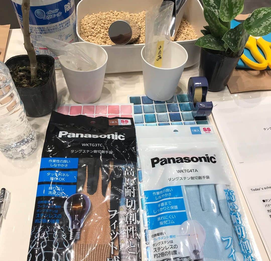 葵さんのインスタグラム写真 - (葵Instagram)「Panasonic Japanさまのタングステン手袋体験会イベントへご招待いただき、親子で参加してきました♡ @panasonicjp   タングステンとは、私は初めて聞きましたが、一般的なステンレスと比べて約2倍の強度をもち、変形しにくい特長をもつ希少金属のことです。 そのため、こちらの手袋は鋭利な刃物を使用した作業でも手の傷などを防ぐことができます。  さて今回はこちらの、ストロングンテを実際に使って体験してみました！ （ストロングンテはタングステンという硬くて強い希少金属を髪の毛の1/4程の細さに加工し、手袋に編み込むことで、高い耐切創性としなやかな使いやすさを両立しています。）  まず、一般的な綿の軍手をカッターで切ってみると、切れてしまいますが、ストロングンテは切っても跡がつくだけ！ しかもストロングンテを切ったカッターは、刃先がだめになってしまうという威力です。  次に整理収納アドバイザーの、ほそこしまちこさんを迎えてガーデニングDIY体験へ！  タイルシールを使ってオリジナル植木鉢を作ったり、観葉植物を植えたりする体験です。  タイルシールをハサミやカッターで切る際もこちらの手袋でスムーズに作業　　 ができました！ 小学生の息子は、カッターや包丁など使う時、今まではひやっとしていましたが、これなら1人でも大丈夫そう^_^  最後に土を入れ替えて完成！！ 手も汚れずにできるから嬉しい☺️  作業をする際は自身や家族の手を守る必要性・大切さを実感しました！！ 今までガーデニングやDIYをあまりすることがなかったけど、こちらの手袋があればやってみたいと思うようになりました！！  他にも親子で一緒に料理をしたり包丁を使うシーンでぜひ使用していきたいな(^^)  ●詳しいURLはこちら https://panasonic.jp/gloves/products/strongunte/daily.html   #PR #ストロングンテ #パナソニック #ガーデニング #DIY #アウトドア #キャンプ #防災」8月3日 17時26分 - dolphin_coconut