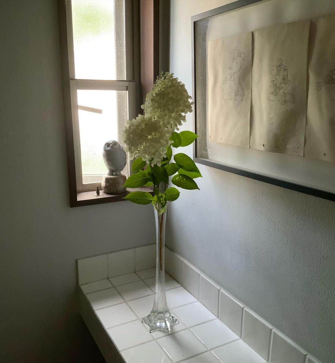 ヒロミチナカノさんのインスタグラム写真 - (ヒロミチナカノInstagram)「glassの花器に大手毬を入れました。 #flowers」8月3日 17時31分 - hiromichinakano_official
