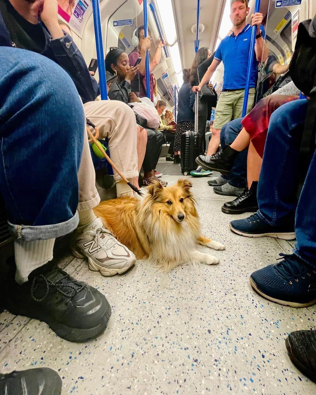 ジェニファー・ビールスのインスタグラム：「Some of the Tube’s finest.  ❤️  #londonunderground」