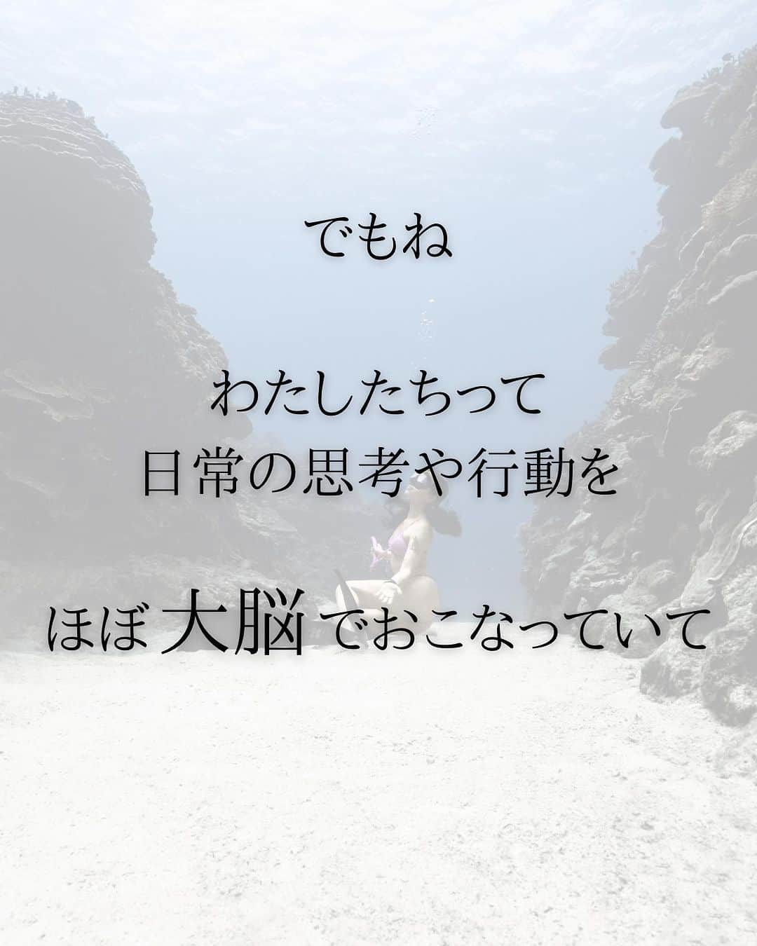 LuCyCoさんのインスタグラム写真 - (LuCyCoInstagram)「♾️〰︎♾️〰︎☀︎  "それ"が  もっと調和した世界に  連れてってくれるとしたら？  もっと広くて高い視点から  すべてを俯瞰することが  できるとしたら？  時間も空間も  超えるとしたら？  ———————————————  瞑想が苦手なひと 身体と空間が溶ける感覚が知りたい人 宇宙とつながりたいひと 本当の自分を見つけたい人 魂のままに生きたい人...etc  伝授セッションでサポートします🪐  ——————————————— underwater photo by @islandboy_okinawa   ———————————————  靈氣伝授セッションin 関東  10/14〜20 in 南葉山 お申し込み受付中♾️ (level.1,level.2,level.3)  詳細はストーリーズ お申し込み・料金などはDMへ🕊️  …………………………………  靈氣伝授セッション in 沖縄  ７月２８日　🈵  8月中旬以降　リクエスト受付🉑  ——————————————  他流派さんからの再伝授ok☀︎   靈氣学んだけどつかってない 使い方わからない、精神性の高め方がわからない方などに満足いただいてます☀︎   …………………………………  各種ヒーリングセッション in沖縄&オンライン  随時お申し込みOK🕊️  詳細はプロフィールのリンクにて☀︎  #セルフラブ #波動をあげる #自分を大切にする方法 #ハイヤーセルフ #レイキヒーリング #宇宙の法則で生きる #心地よく生きる #自分を知りたい #靈氣ヒーリング  #レイキ伝授 #魂の恋愛 #ツインレイ #レイキ #レイキマスター  #レイキヒーラー  #海の世界」8月3日 19時07分 - lucyco_blue