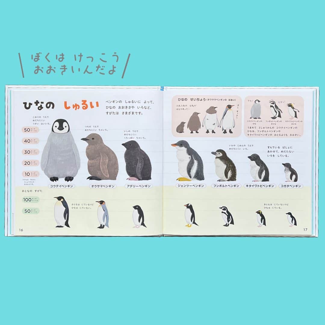 学研ゼミ【公式】さんのインスタグラム写真 - (学研ゼミ【公式】Instagram)「リアルでかわいいペンギンが400わ🐧 ペンギンがもっと好きになる！学研のえほんずかん  一冊まるごとペンギンづくし🐧 イラストで楽しくわかりやすく、 #図鑑 のようにくわしい #学研のえほんずかん 『 #ペンギンのずかん 』。 今年6月の発売以来、おかげさまで大好評です！  リアルかわいい #ペンギン のイラストは ペンギン大好きイラストレーター・ #きゅう さんが手がけました。 ペンギンの愛嬌のあるしぐさや ひなのふわふわ感など #ペンギン好き にたまらないツボがいっぱい😍  監修は動物学者の #今泉忠明 先生、 泳ぐ様子、歩く様子、子育て、 不思議な生態や 実はスゴイ能力まで これ一冊で ペンギン博士になれちゃいます☝️  #夏休み 、 #水族館 や #動物園 で 本物のペンギンに会う機会があったら こちらの『ペンギンのずかん』で 予習・復習してみてください🐧  『学研のえほんずかん ペンギンのずかん』 おすすめの年齢：３歳～６歳 #Gakken #学研の絵本 #絵本 @gakken_ehon」8月3日 19時22分 - gakken_ehon