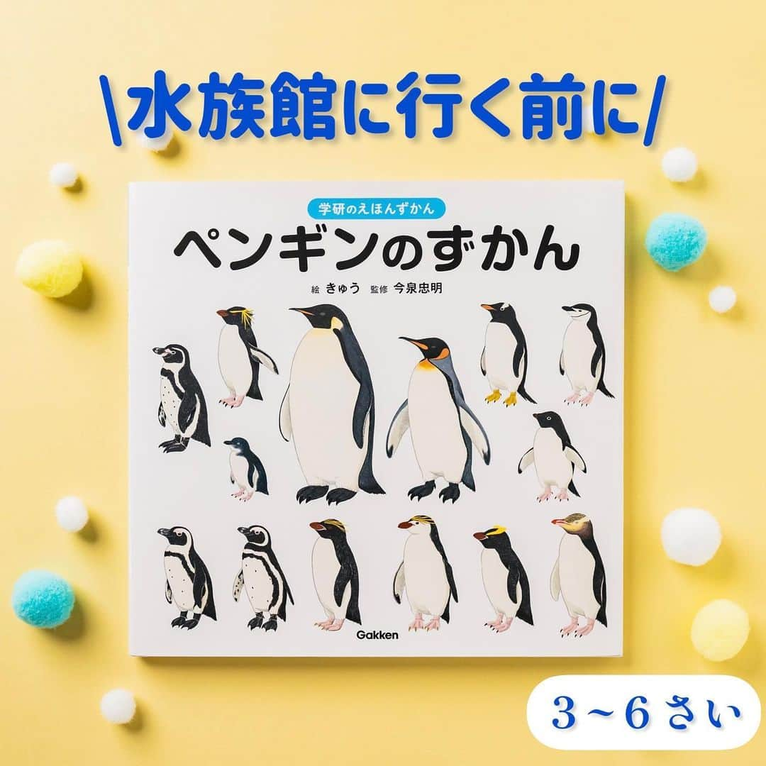 学研ゼミ【公式】のインスタグラム：「リアルでかわいいペンギンが400わ🐧 ペンギンがもっと好きになる！学研のえほんずかん  一冊まるごとペンギンづくし🐧 イラストで楽しくわかりやすく、 #図鑑 のようにくわしい #学研のえほんずかん 『 #ペンギンのずかん 』。 今年6月の発売以来、おかげさまで大好評です！  リアルかわいい #ペンギン のイラストは ペンギン大好きイラストレーター・ #きゅう さんが手がけました。 ペンギンの愛嬌のあるしぐさや ひなのふわふわ感など #ペンギン好き にたまらないツボがいっぱい😍  監修は動物学者の #今泉忠明 先生、 泳ぐ様子、歩く様子、子育て、 不思議な生態や 実はスゴイ能力まで これ一冊で ペンギン博士になれちゃいます☝️  #夏休み 、 #水族館 や #動物園 で 本物のペンギンに会う機会があったら こちらの『ペンギンのずかん』で 予習・復習してみてください🐧  『学研のえほんずかん ペンギンのずかん』 おすすめの年齢：３歳～６歳 #Gakken #学研の絵本 #絵本 @gakken_ehon」