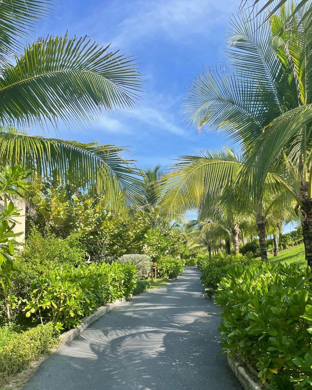 ヘリ さんのインスタグラム写真 - (ヘリ Instagram)「수박 좋아 망고 좋아 나쨩 좋아 🍉🌴👙」8月3日 19時34分 - hyeri_0609