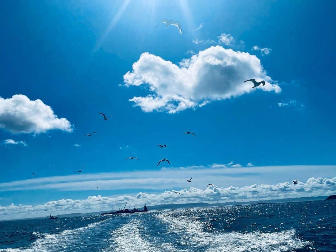 滝沢沙織さんのインスタグラム写真 - (滝沢沙織Instagram)「こんばんは😊✨毎日暑い日が続きますが、体調には気をつけて過ごしましょうねぇ〜‼️ 夏の海、綺麗ですよね✨ 釣りをしてると鳥達がお腹を空かせて追ってくる😄 #滝沢沙織 #夏の海 #釣り」8月3日 19時34分 - saori_takizawa.official