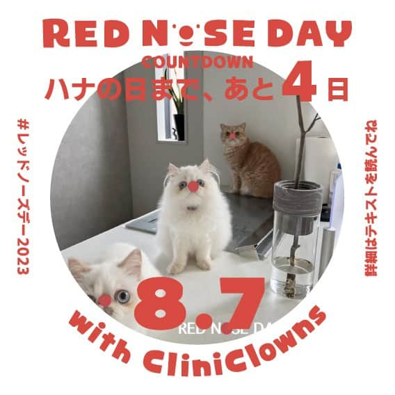 orgabitsさんのインスタグラム写真 - (orgabitsInstagram)「8月7日ハナの日まであと4日🥰  本日は昨年ご投稿いただいた　@boogoya6 さんの画像をお借りましした！ 赤鼻が全員についていてしかもカメラ目線😍 釘付けになりました！ 素敵なご投稿をありがとうございました！  皆様の温かい想いで、キャンペーン告知投稿へのいいね数が約18.000件！ ご協力いただき本当にありがとうございます🙏  ＜SNSキャンペーン＞ 今年もSNSと連動し、 『レッドノーズデー・チャリティSNSキャンペーン2023』を7/24(月)から8/13(日)の期間で実施します！！！  キャンペーンでは、クリニクラウンのトレードマークである赤い鼻を付けた写真に、ハッシュタグ「#レッドノーズデー2023」をつけてInstagramもしくはTwitterにご投稿(フィード投稿)いただくことでご参加いただけます！  投稿数が8,787件に達すると30万円を豊島株式会社から、認定NPO法人日本クリニクラウン協会へ寄付されます。  さらに、本キャンペーンに関するこちらのInstagram投稿とTwitter投稿に、合わせて8,787件以上のリツイートやいいねがされると20万円増額され、総額50万円が寄付されます。  寄付金は、入院中の子どもたちを笑顔にし、療育環境の向上を目指す活動に活用されます。  ＜RED NOSE DAY with CliniClowns チャリティSNSキャンペーン概要＞ ・実施期間：2023年7月24日（月）～8月13日（日） ・参加方法：ハッシュタグ「#レッドノーズデー2023」とともに、「赤い鼻をつけた写真」をフィード投稿  ※キャラクターやペット、イラストなどに赤い鼻をつけて投稿いただくことでも参加可能です。  トマト、いちご、カラーボール、風船、お菓子などでの赤い鼻の代用は可能です。  #レッドノーズデー2023 #REDNOSEDAY #クリニクラウン #日本クリニクラウン協会 #すべてのこどもにこども時間を #オーガビッツ #orgabits #サスとも募集中 #サスとも #organic #オーガニック #cotton #コットン #organiccotton #和綿 #綿 #綿花 #人にやさしい #地球にやさしい #やさしいくらし #ていねいな暮らし #ちょっとくらいがょうどいい #サステナブルファッション」8月3日 20時00分 - orgabits