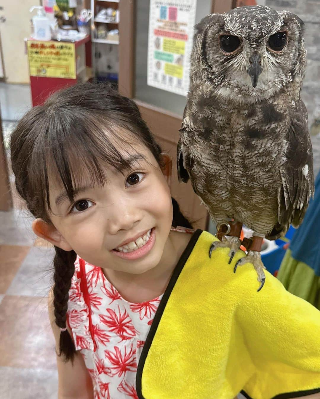 ともみのインスタグラム：「. フクロウカフェへ🦉 . 肩や腕に乗せたり、ご飯をあげたりしました❣️ . ヘビやハリネズミもいて、たくさんふれあい体験できました☺️ . . #フクロウカフェ #夏休み #おでかけ」