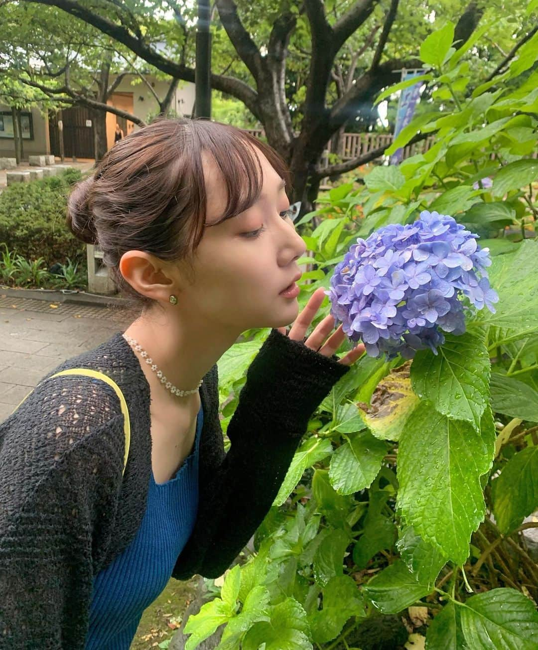 高井真菜さんのインスタグラム写真 - (高井真菜Instagram)「真夏なのに紫陽花咲いてた  最近はもうすっかり夏の夜の匂いがしますね(伝われ) 8月もよろしくお願いします。🍧☺︎  #江ノ島#朔日参り」8月3日 20時23分 - mana_takai