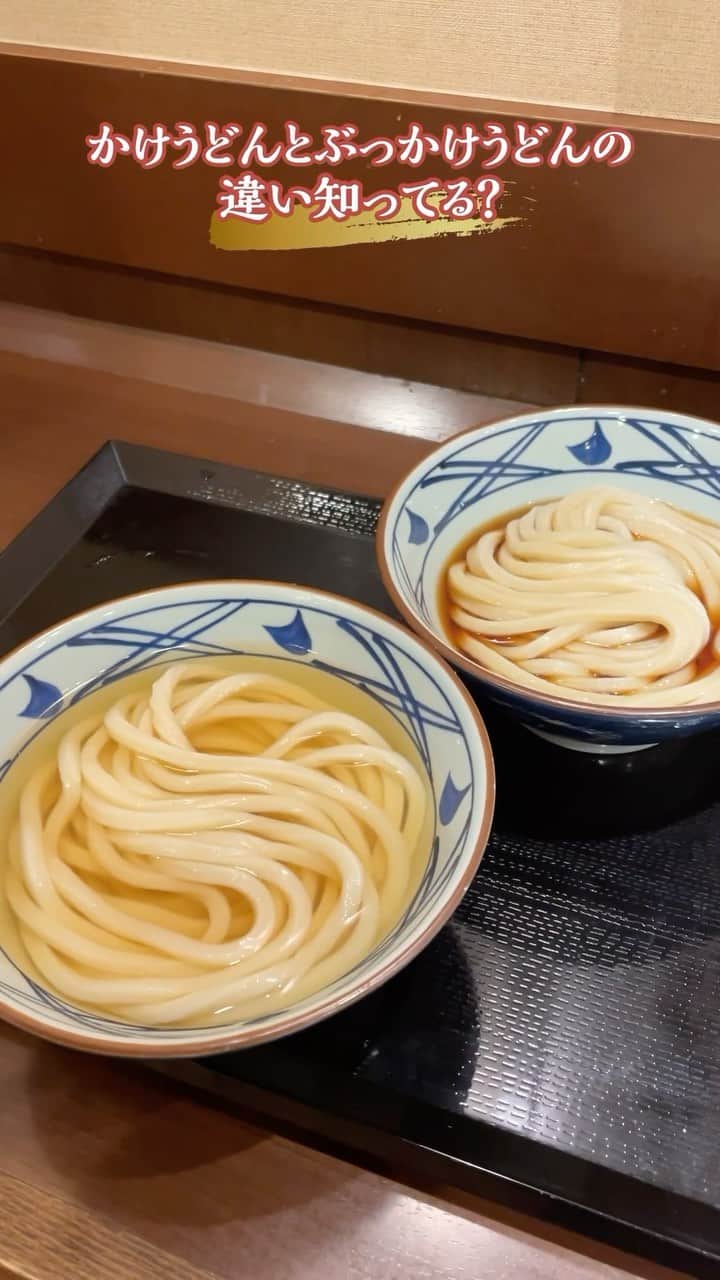 丸亀製麺のインスタグラム：「かけうどんとぶっかけうどんどっち派？コメントで教えてください🙌  フォロワーさんより「かけうどんとぶっかけうどんの違いを教えて」というお声をいただいたのでご紹介します👇  🥢かけうどん だし：風味豊かでほどよい塩味と旨みを感じる定番のだし。うどん本来のシンプルな味を堪能できる。 種類：基本は温のみ。夏限定で冷も登場。 おすすめ薬味：ねぎ＋天かす こんな人におすすめ：だしをたっぷり味わいたい人  🥢ぶっかけうどん だし：麺にしっかり絡む濃いめ仕様。つるつるもちもちの麺に絡み、うどんの小麦の甘さを引き立たせる。 種類：通年通して温・冷あり おすすめ薬味：わさび＋すりごま こんな人におすすめ：麺のもちもち感を楽しみたい人  #丸亀製麺 #丸亀うどん #udon #麺 #うどん」