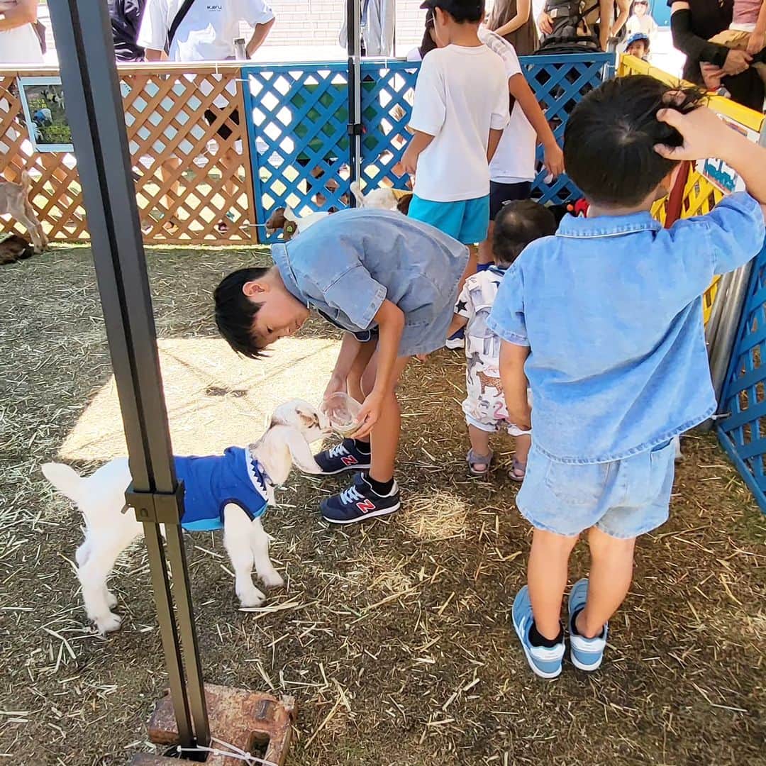 yuina.ushio ueharaさんのインスタグラム写真 - (yuina.ushio ueharaInstagram)「. 動物好きの長男のために ネコカフェと ペット用に品種改良されたヤギのふれあいに🐈️🐐  これは父ちゃん担当だな。  #潮家子育て」8月4日 7時42分 - yuinaushio