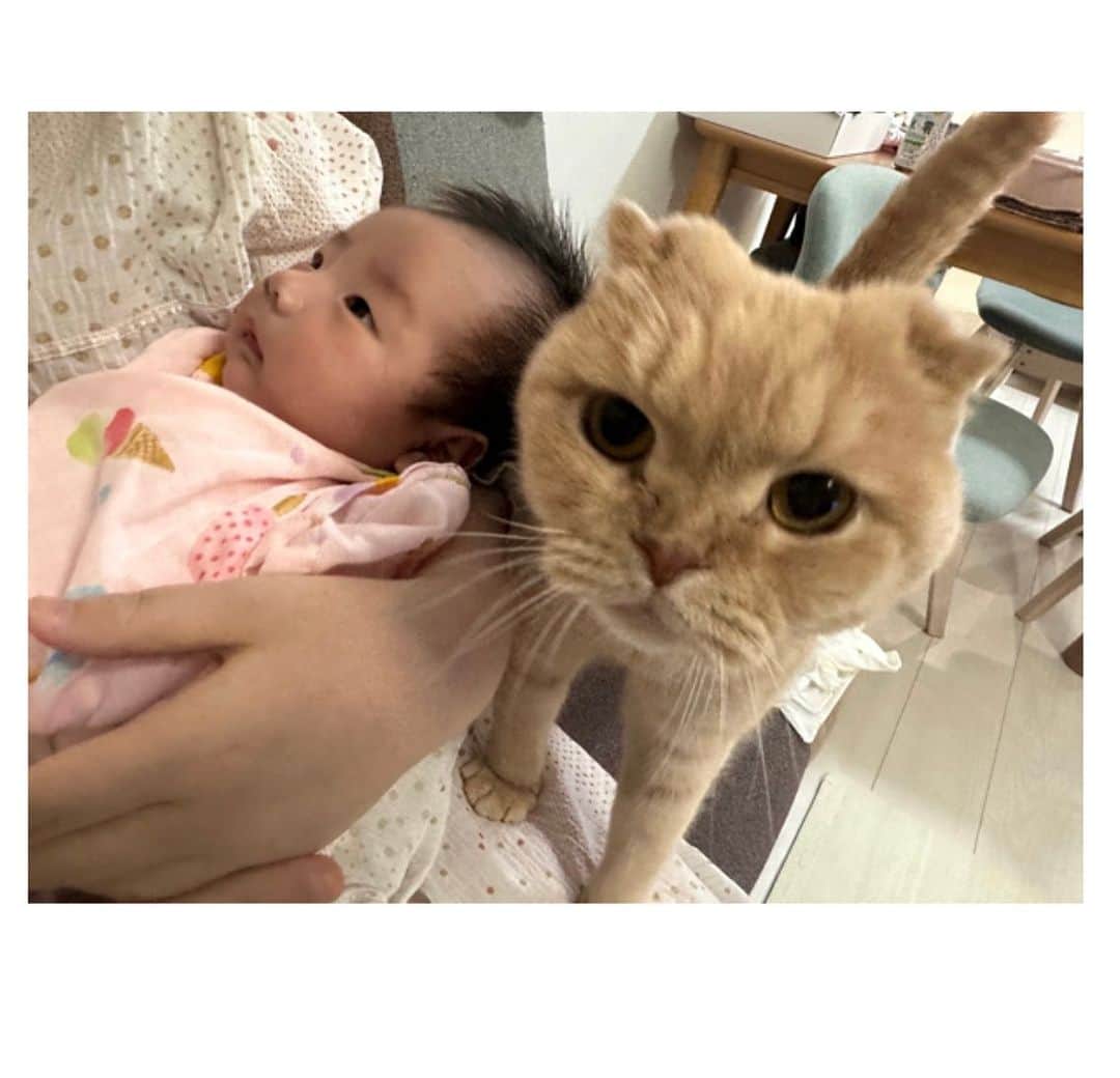 相馬有紀実のインスタグラム