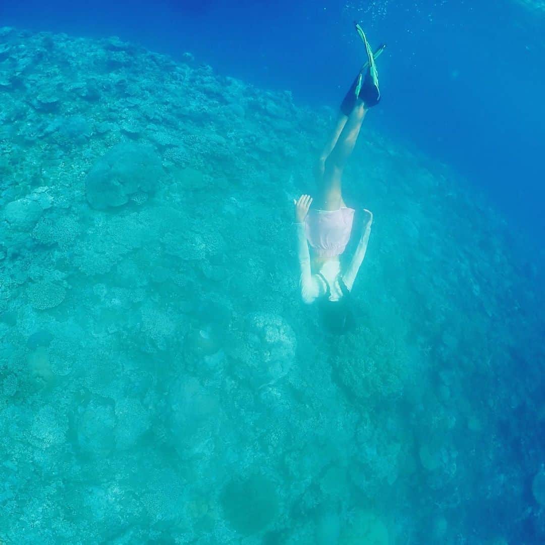 西山美希子のインスタグラム：「まさに水を得た魚のように、毎日海で魚と泳ぐ子供たち。海の中の美しいニモの世界に魅了され、一日中泳いでいました。海の魚たちが、子供たちのスイミングの先生。娘は、スイミングレッスンに通ったことがないけど、人魚のように海の中で生き生きと珊瑚をすり抜けながら泳ぎます。スイミング教室で級が上がる喜びなんて、どうでもいいんじゃないかと思ってしまう！ #西山家のなつやすみ」