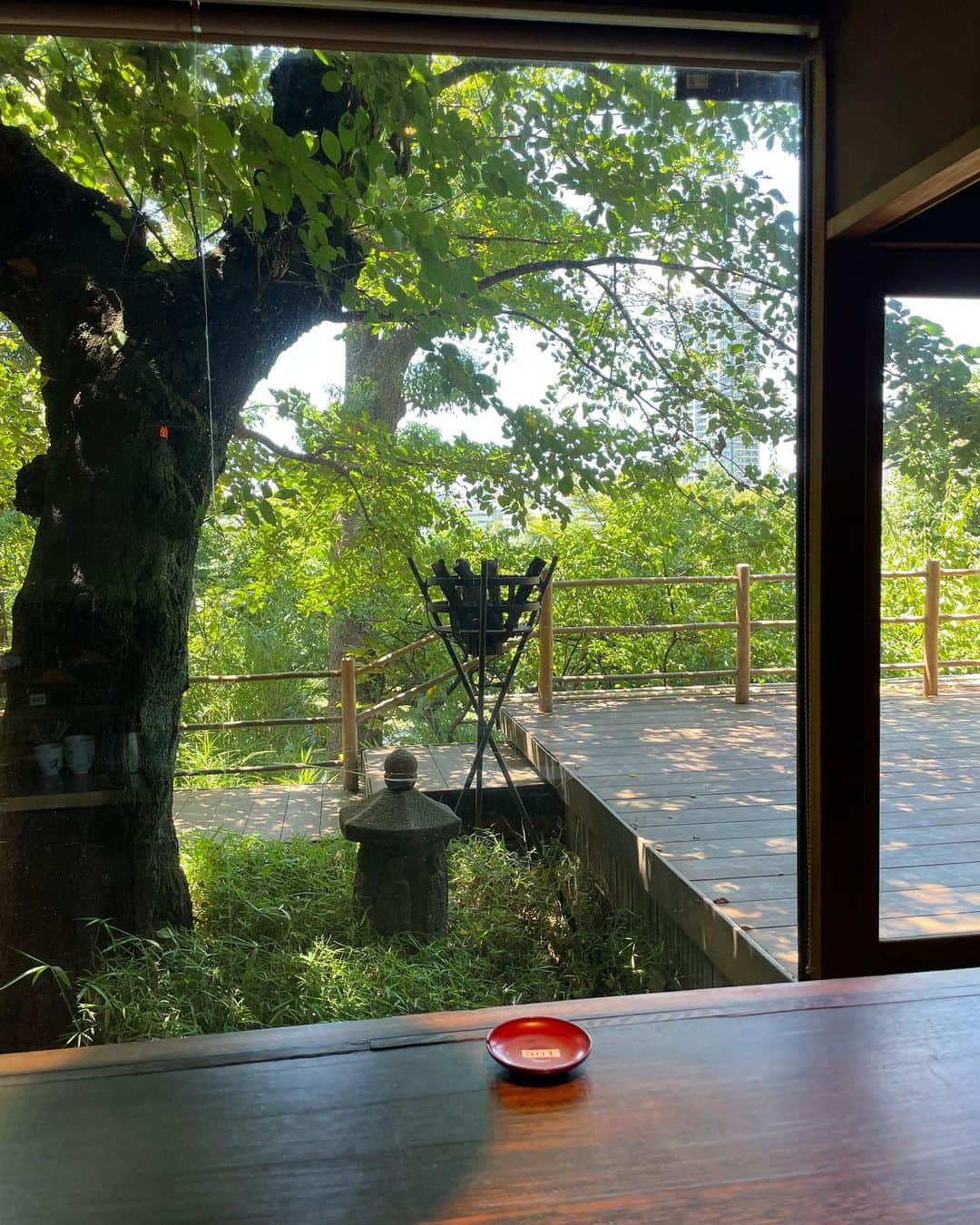 田中美里さんのインスタグラム写真 - (田中美里Instagram)「ランチから始まった友人との上野巡り。 籠に入ったお料理が涼やか。 景色にも癒された。  #上野ランチ #韻松亭  #韻松亭花籠御膳   @kurorin77 と一緒に。  #いつかの想い出」8月4日 6時58分 - misatotanaka77