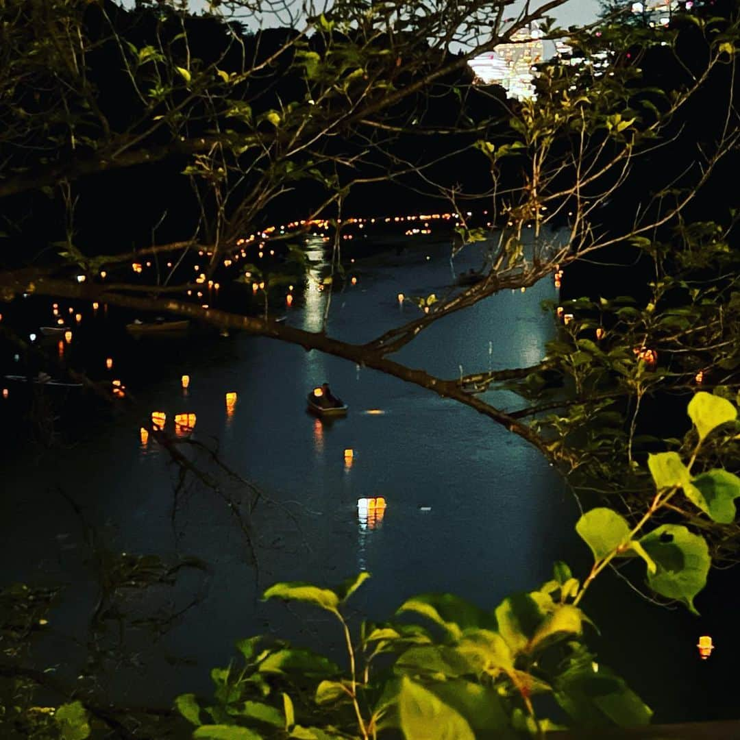 朝岡実嶺のインスタグラム：「皇居 千鳥ヶ淵で灯ろうに願いを書いて来ました✨ 2000個の灯ろうがお濠に流されて、とてもキレイでした😊  I wrote wishes on a lantern at the Imperial Palace✨ 2000 lanterns were floating on the surface of the moat and they were so pretty😊  #灯ろう流し #皇居灯籠流し  #千鳥ヶ淵 #皇居  #lanternfestival #inperialpalace #chidorigafuchi #floatinglanterns #japanesefestival」