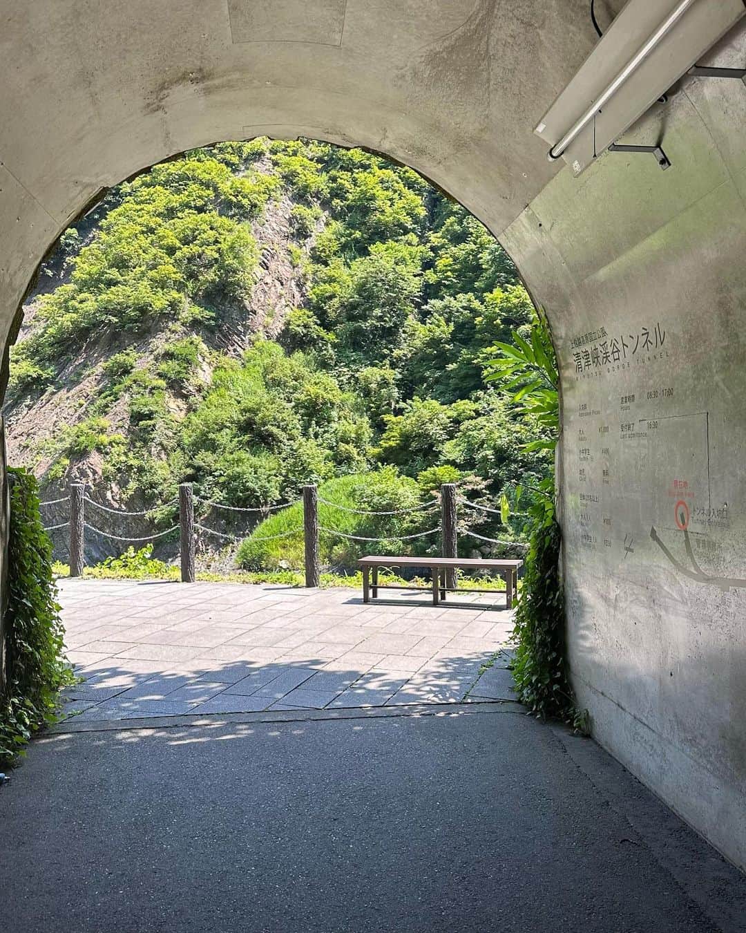林田沙綾さんのインスタグラム写真 - (林田沙綾Instagram)「清津峡 Tunnel of Light ずっと行きたかったから 行けてよかったー！  日本三大峡谷の絶景が「大地の芸術祭」アート作品になってて素敵でした🌿 自然とアートって最強。。。。  #新潟 #清津峡 #清津峡渓谷トンネル」8月3日 23時16分 - saaya.xoxo