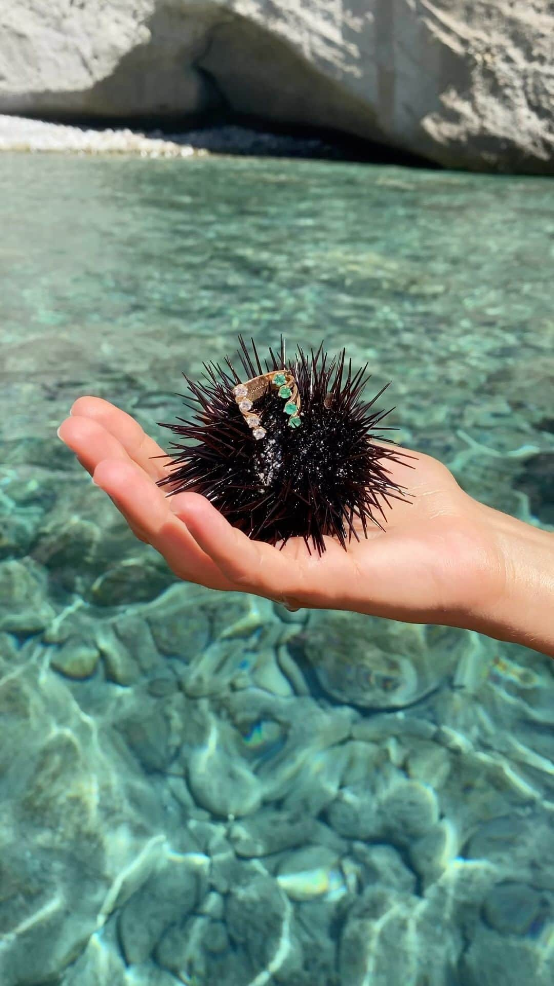 デルフィナデレトレズのインスタグラム：「Sea Urchin for gold at sea 🌊」