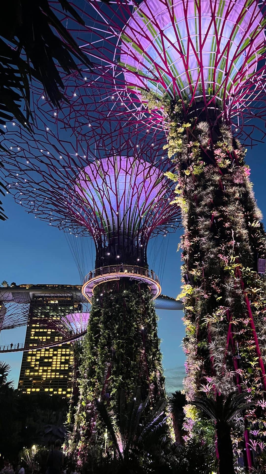 マルガリータ・マムンのインスタグラム：「POV: Avatar in real world 🥲🔮 Singapore - Gardens by the Bay」