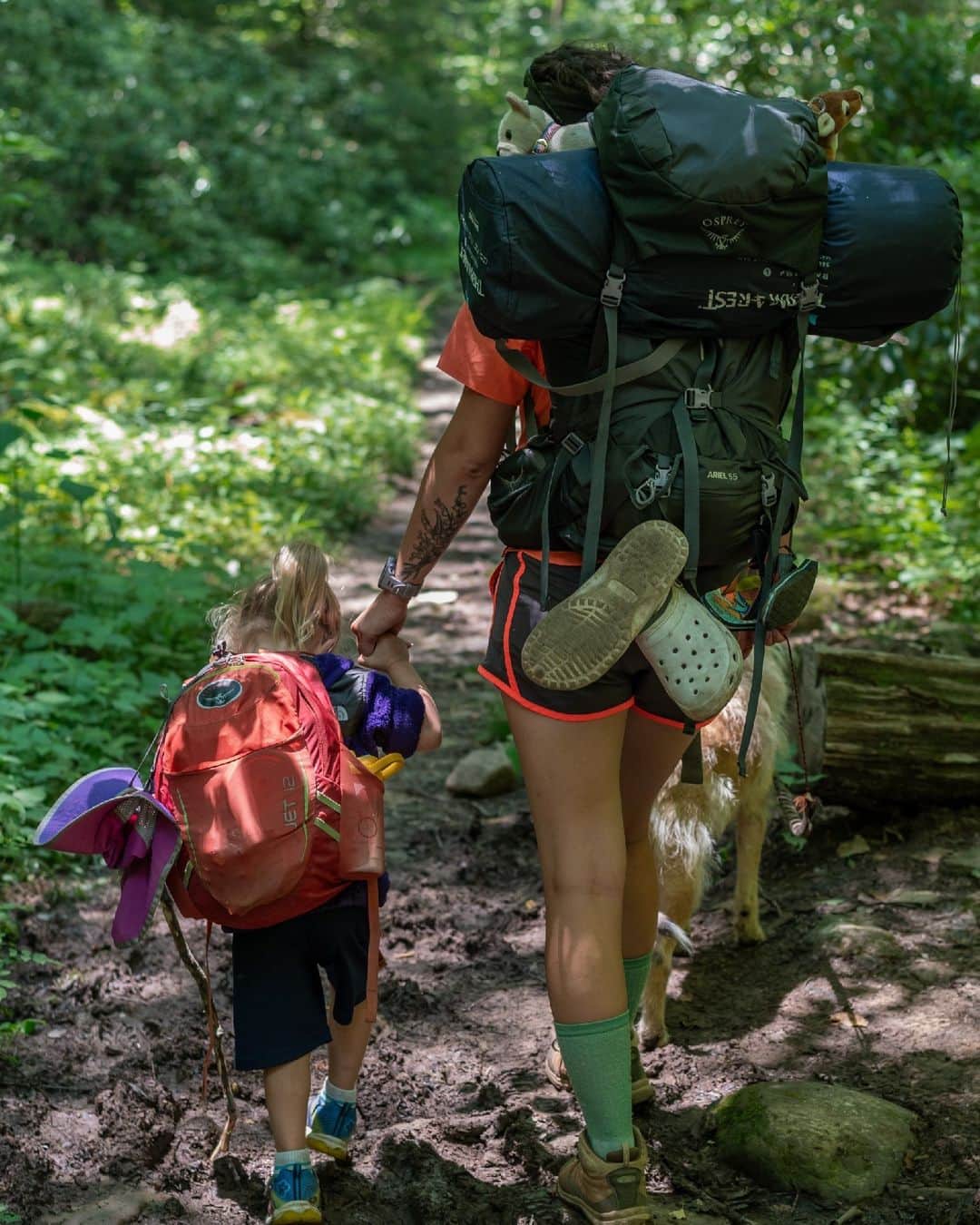 オスプレーさんのインスタグラム写真 - (オスプレーInstagram)「Keeping it in the family 🎒  Who leads family hikes – you or the little adventurers?  #OspreyPacks」8月4日 2時01分 - ospreypacks