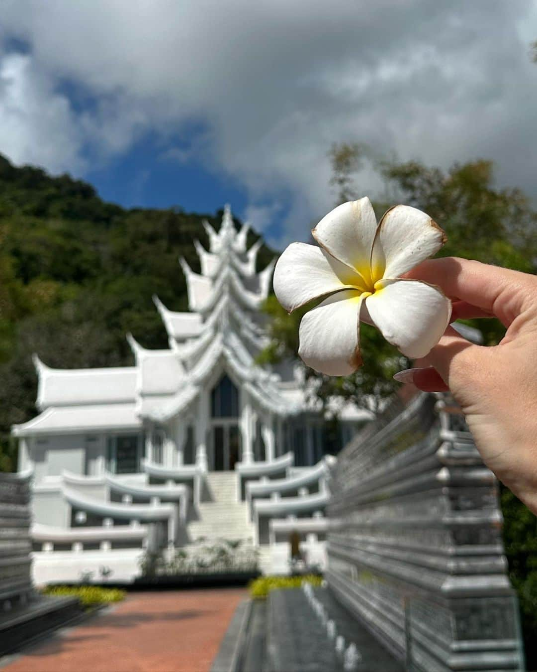 ベリンダさんのインスタグラム写真 - (ベリンダInstagram)「Un gran viaje 🥹🇹🇭💕🌸🌊🫰✨」8月4日 3時33分 - belindapop